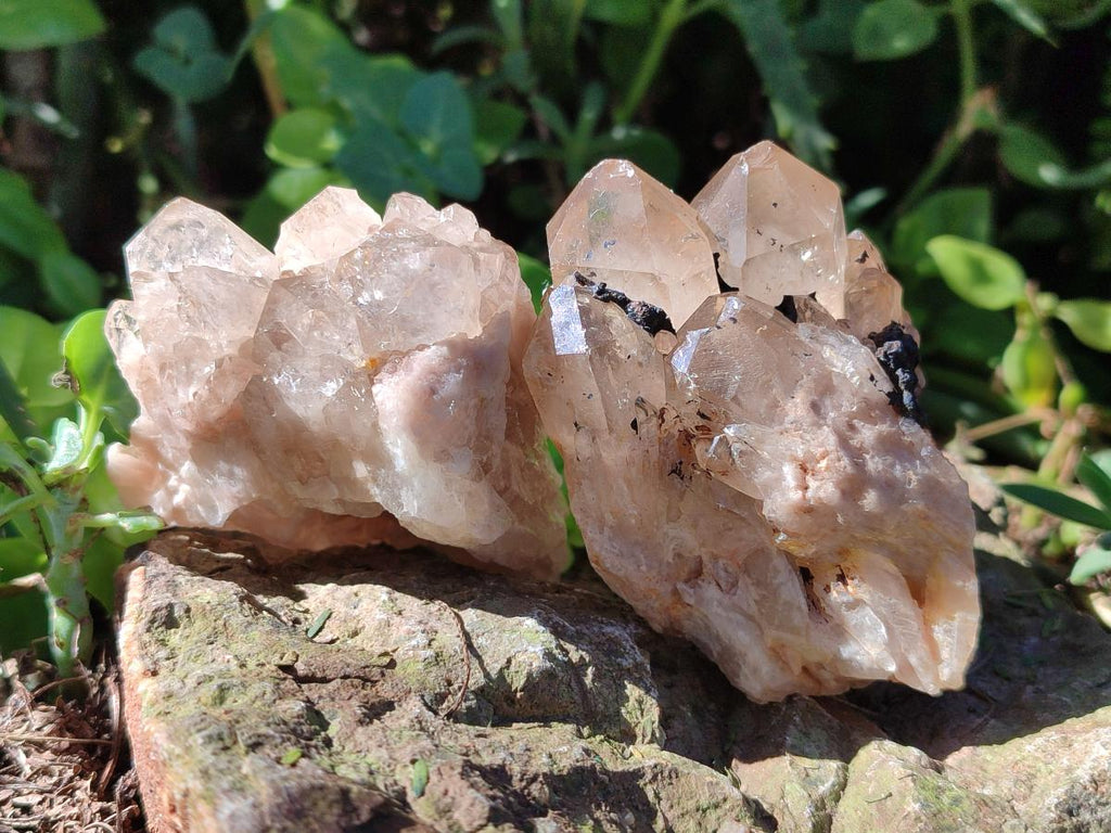 Natural Cascading White Phantom Smokey Luena Quartz Clusters x 4 From Luena, Congo - Toprock Gemstones and Minerals 