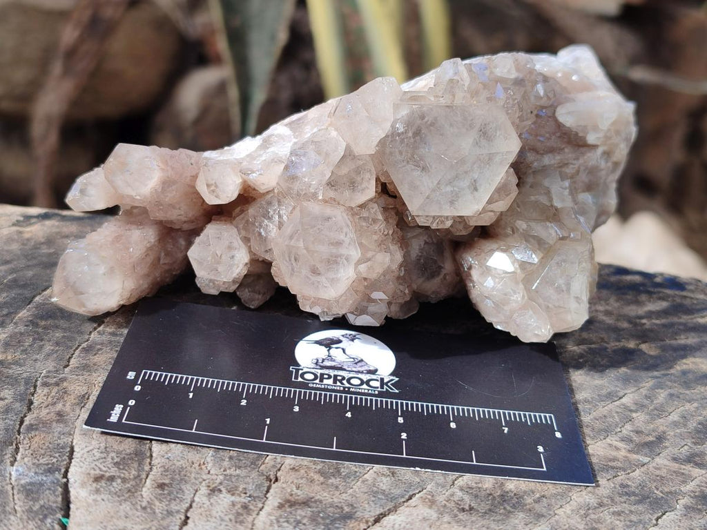 Natural Cascading White Phantom Smokey Luena Quartz Clusters x 4 From Luena, Congo - Toprock Gemstones and Minerals 
