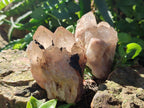 Natural Cascading White Phantom Smokey Luena Quartz Clusters x 4 From Luena, Congo - Toprock Gemstones and Minerals 
