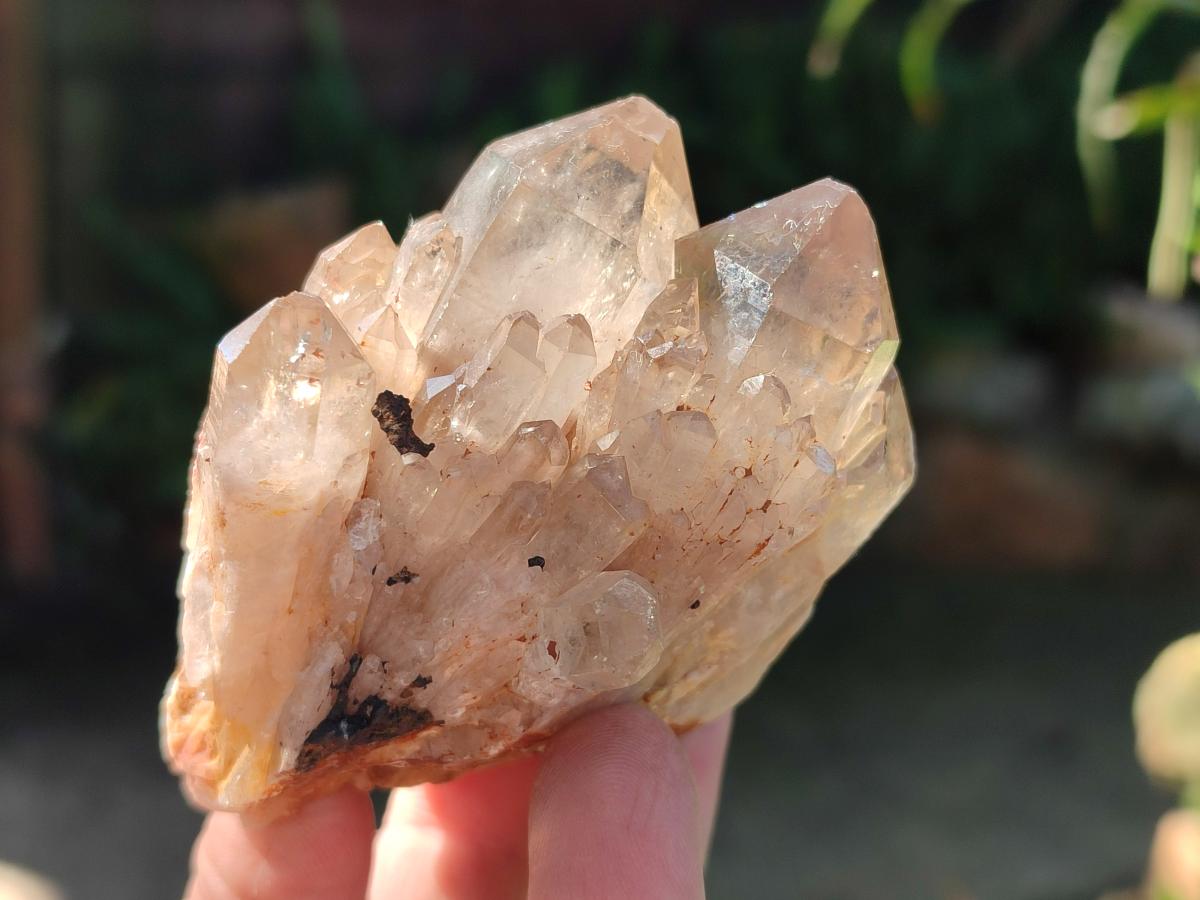 Natural Cascading White Phantom Smokey Luena Quartz Clusters x 4 From Luena, Congo - Toprock Gemstones and Minerals 