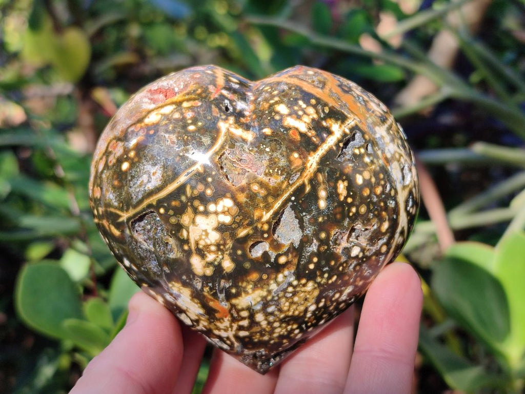 Polished Ocean Jasper Hearts x 6 From Northwest Coast, Madagascar - Toprock Gemstones and Minerals 