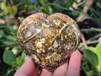 Polished Ocean Jasper Hearts x 6 From Northwest Coast, Madagascar - Toprock Gemstones and Minerals 