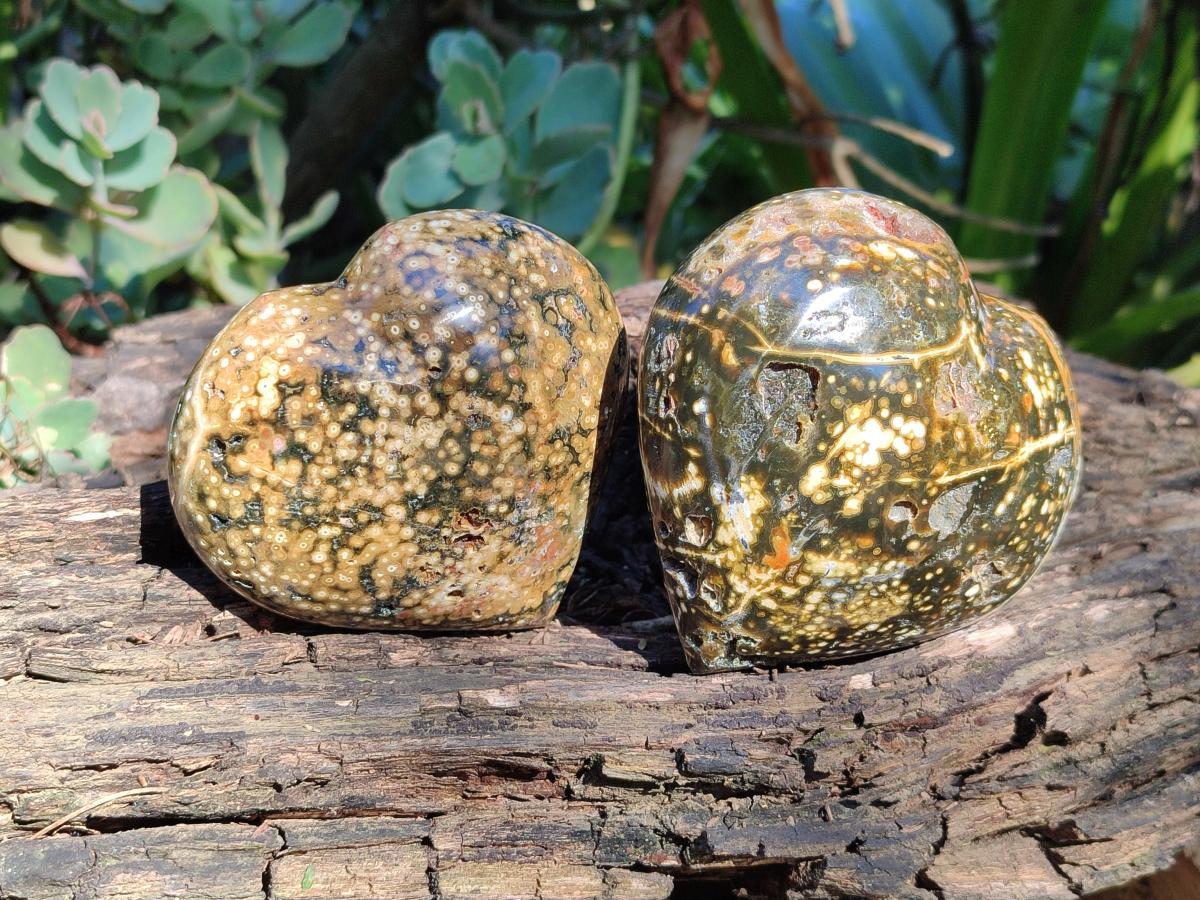 Polished Ocean Jasper Hearts x 6 From Northwest Coast, Madagascar - Toprock Gemstones and Minerals 