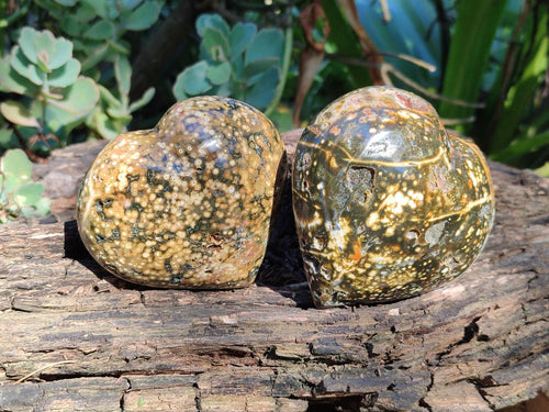 Polished Ocean Jasper Hearts x 6 From Northwest Coast, Madagascar - Toprock Gemstones and Minerals 