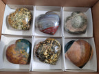 Polished Ocean Jasper Hearts x 6 From Northwest Coast, Madagascar - Toprock Gemstones and Minerals 