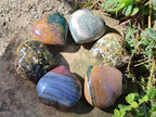 Polished Ocean Jasper Hearts x 6 From Northwest Coast, Madagascar - Toprock Gemstones and Minerals 