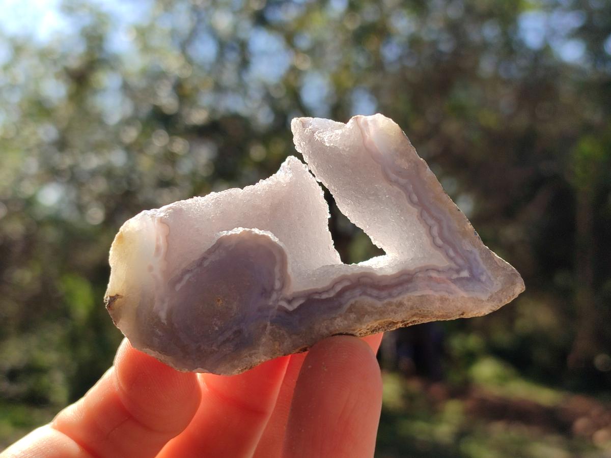 Polished On One Side Blue Lace Agate Geodes x 12 From Nsanje, Malawi - Toprock Gemstones and Minerals 
