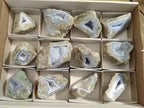 Polished On One Side Blue Lace Agate Geodes x 12 From Nsanje, Malawi - Toprock Gemstones and Minerals 