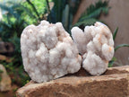 Polished Drusy Cristobalite Snow White Quartz clusters x 12 From Madagascar - Toprock Gemstones and Minerals 