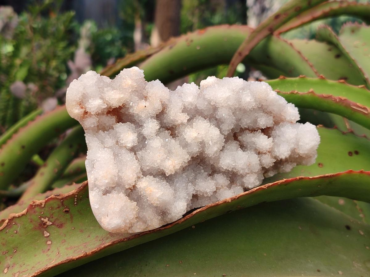 Polished Drusy Cristobalite Snow White Quartz clusters x 12 From Madagascar - Toprock Gemstones and Minerals 
