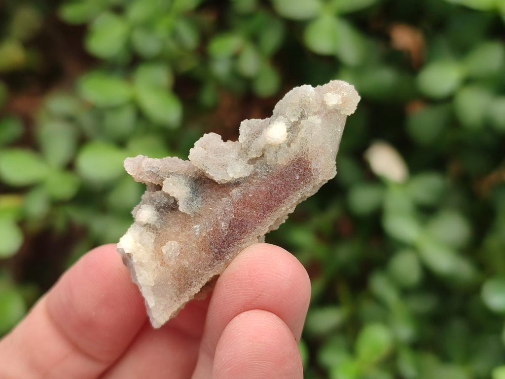 Natural Hematoid Tinted Drusy Fairy Spirit Quartz Single Crystals x 70 From South Africa - Toprock Gemstones and Minerals 