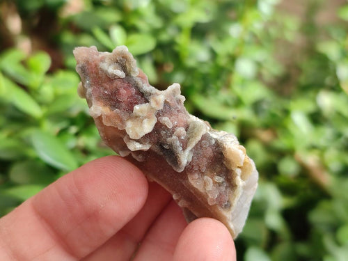 Natural Hematoid Tinted Drusy Fairy Spirit Quartz Single Crystals x 70 From South Africa - Toprock Gemstones and Minerals 