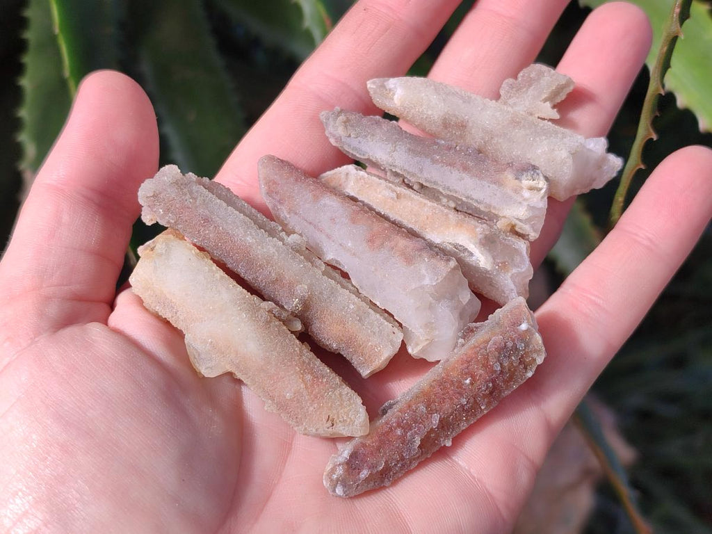 Natural Hematoid Tinted Drusy Fairy Spirit Quartz Single Crystals x 70 From South Africa - Toprock Gemstones and Minerals 