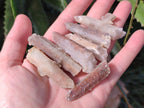 Natural Hematoid Tinted Drusy Fairy Spirit Quartz Single Crystals x 70 From South Africa - Toprock Gemstones and Minerals 