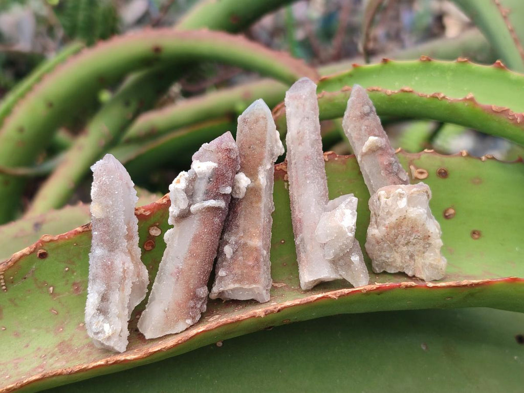 Natural Hematoid Tinted Drusy Fairy Spirit Quartz Single Crystals x 70 From South Africa - Toprock Gemstones and Minerals 