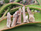 Natural Hematoid Tinted Drusy Fairy Spirit Quartz Single Crystals x 70 From South Africa - Toprock Gemstones and Minerals 