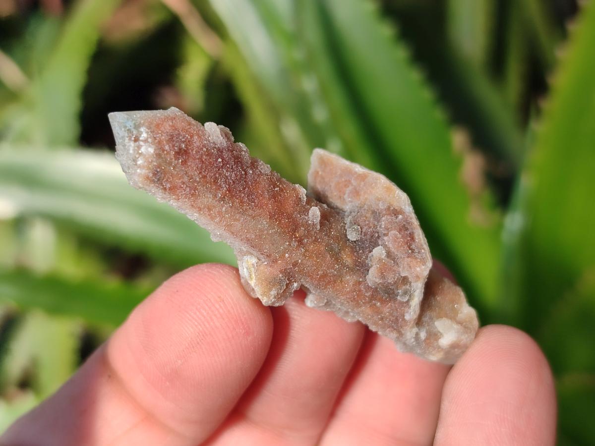 Natural Hematoid Tinted Drusy Fairy Spirit Quartz Single Crystals x 70 From South Africa - Toprock Gemstones and Minerals 