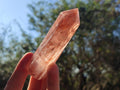 Polished Red Hematoid Quartz Display Crystals x 12 From Ambatondrazaka, Madagascar - Toprock Gemstones and Minerals 