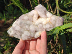 Natural Lilac Spirit Amethyst Clusters x 3 From Boekenhouthoek, South Africa - Toprock Gemstones and Minerals 
