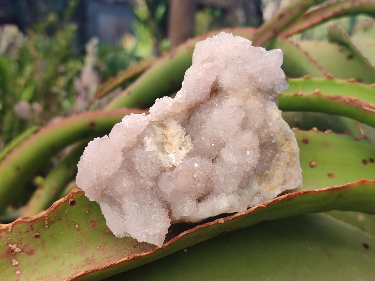 Natural Lilac Spirit Amethyst Clusters x 3 From Boekenhouthoek, South Africa - Toprock Gemstones and Minerals 