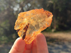 Natural Copal Amber Specimens with Insect and Plant Inclusions x 12 From Lemur Island, Madagascar - Toprock Gemstones and Minerals 