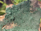 Natural Cabinet Size Botryoidal Crystalline Malachite Specimens on Dolomite Matrix x 2 From Congo - Toprock Gemstones and Minerals 