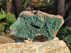 Natural Cabinet Size Botryoidal Crystalline Malachite Specimens on Dolomite Matrix x 2 From Congo - Toprock Gemstones and Minerals 