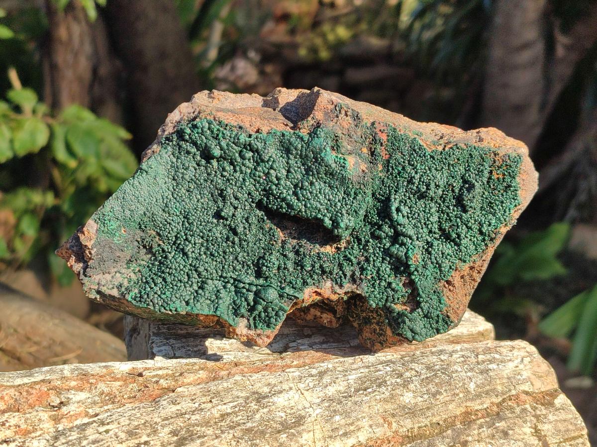 Natural Cabinet Size Botryoidal Crystalline Malachite Specimens on Dolomite Matrix x 2 From Congo - Toprock Gemstones and Minerals 