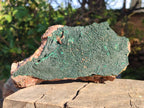 Natural Cabinet Size Botryoidal Crystalline Malachite Specimens on Dolomite Matrix x 2 From Congo - Toprock Gemstones and Minerals 