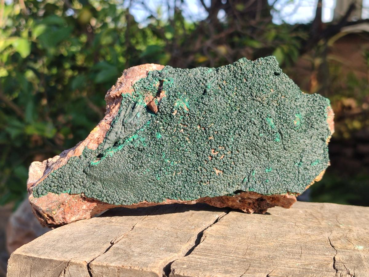 Natural Cabinet Size Botryoidal Crystalline Malachite Specimens on Dolomite Matrix x 2 From Congo - Toprock Gemstones and Minerals 