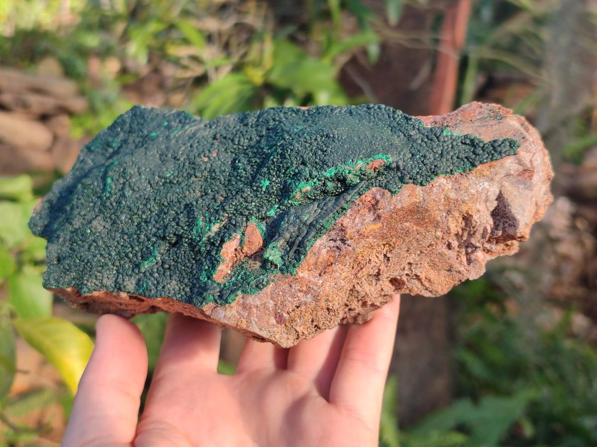 Natural Cabinet Size Botryoidal Crystalline Malachite Specimens on Dolomite Matrix x 2 From Congo - Toprock Gemstones and Minerals 