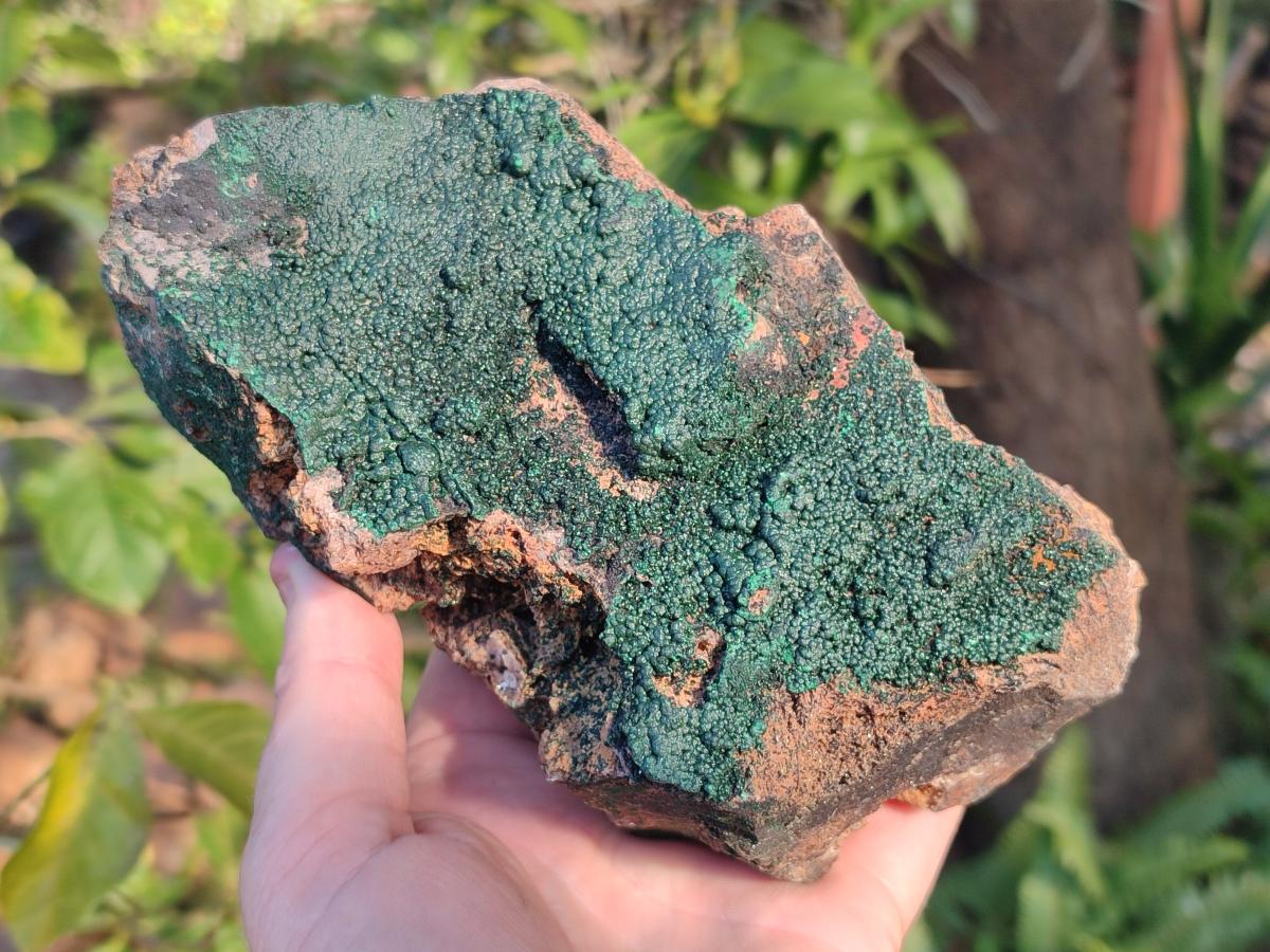 Natural Cabinet Size Botryoidal Crystalline Malachite Specimens on Dolomite Matrix x 2 From Congo - Toprock Gemstones and Minerals 