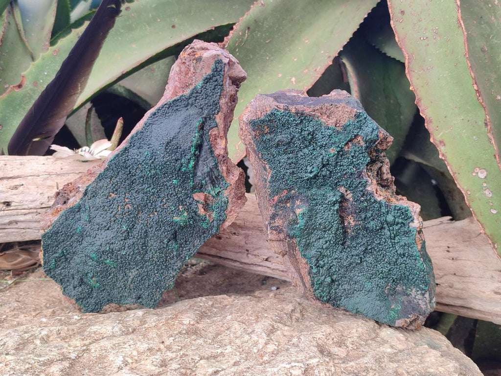 Natural Cabinet Size Botryoidal Crystalline Malachite Specimens on Dolomite Matrix x 2 From Congo - Toprock Gemstones and Minerals 