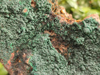 Natural Cabinet Size Botryoidal Crystalline Malachite Specimens on Dolomite Matrix x 2 From Congo - Toprock Gemstones and Minerals 