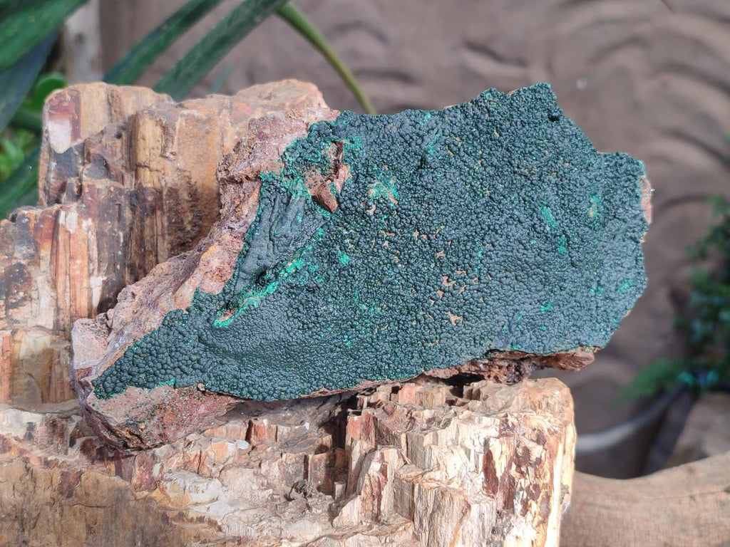 Natural Cabinet Size Botryoidal Crystalline Malachite Specimens on Dolomite Matrix x 2 From Congo - Toprock Gemstones and Minerals 