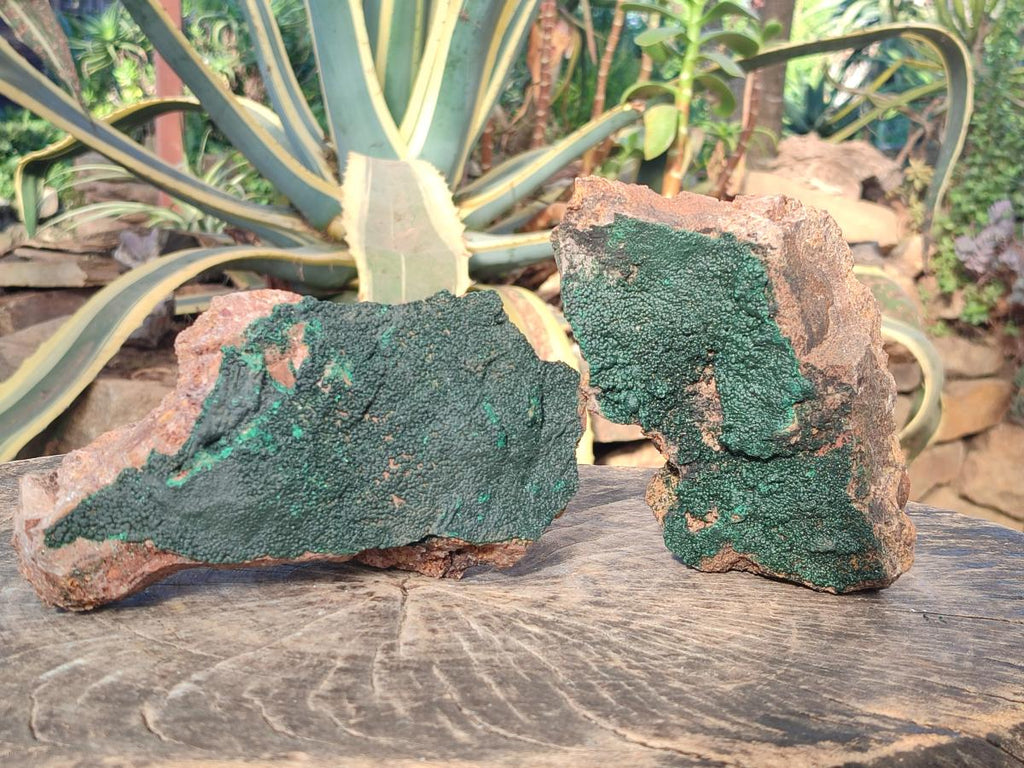 Natural Cabinet Size Botryoidal Crystalline Malachite Specimens on Dolomite Matrix x 2 From Congo - Toprock Gemstones and Minerals 