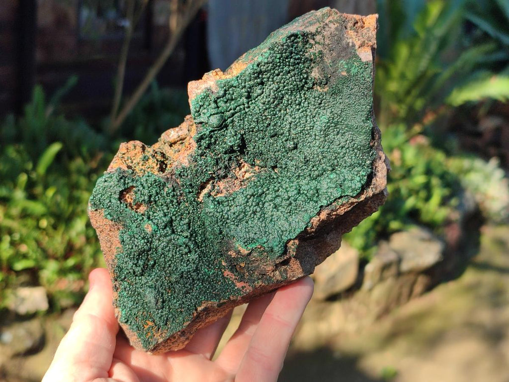 Natural Cabinet Size Botryoidal Crystalline Malachite Specimens on Dolomite Matrix x 2 From Congo - Toprock Gemstones and Minerals 