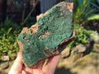 Natural Cabinet Size Botryoidal Crystalline Malachite Specimens on Dolomite Matrix x 2 From Congo - Toprock Gemstones and Minerals 