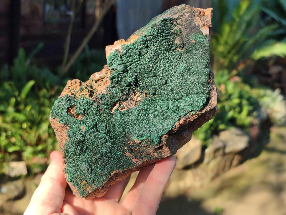Natural Cabinet Size Botryoidal Crystalline Malachite Specimens on Dolomite Matrix x 2 From Congo - Toprock Gemstones and Minerals 