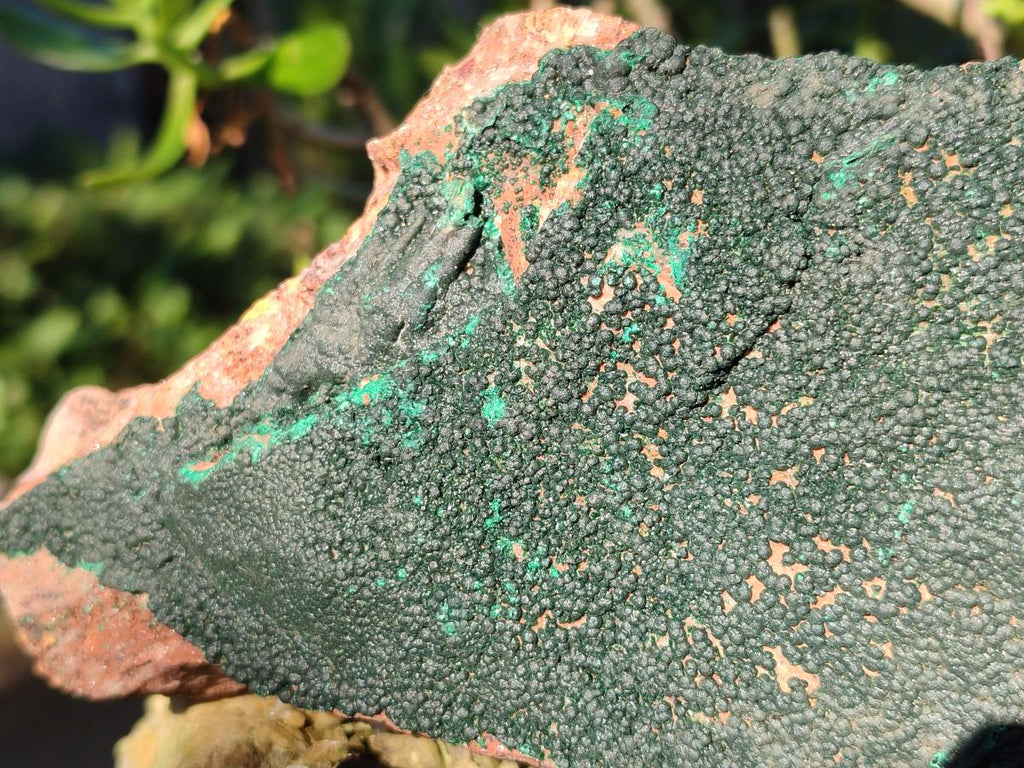 Natural Cabinet Size Botryoidal Crystalline Malachite Specimens on Dolomite Matrix x 2 From Congo - Toprock Gemstones and Minerals 