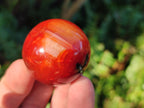 Polished Small Carnelian Agate Gemstone Spheres x 20 From Madagascar - Toprock Gemstones and Minerals 