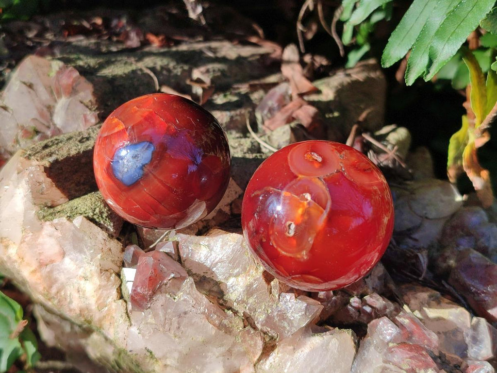 Polished Small Carnelian Agate Gemstone Spheres x 20 From Madagascar - Toprock Gemstones and Minerals 