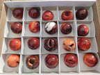 Polished Small Carnelian Agate Gemstone Spheres x 20 From Madagascar - Toprock Gemstones and Minerals 