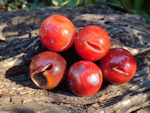 Polished Small Carnelian Agate Gemstone Spheres x 20 From Madagascar - Toprock Gemstones and Minerals 