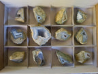 Polished One Side Blue Lace Agate Geodes x 12 From Nsanje, Malawi - Toprock Gemstones and Minerals 