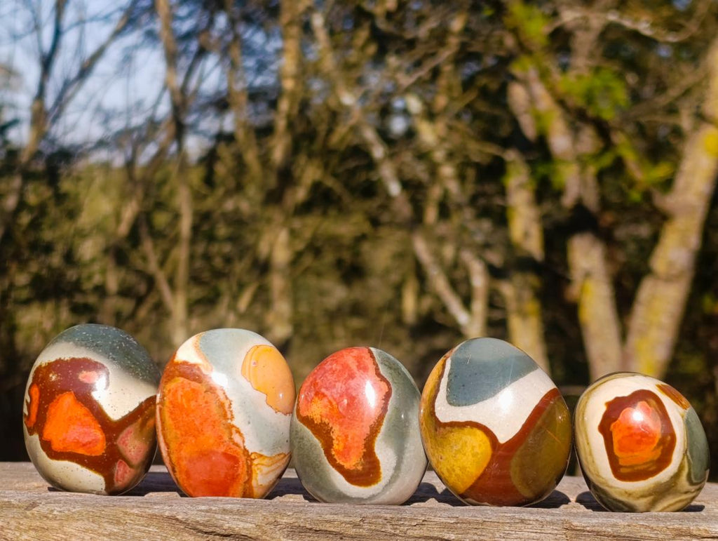 Polished Polychrome Jasper Palm Stones x 24 From NW Coast, Madagascar - Toprock Gemstones and Minerals 