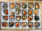 Polished Polychrome Jasper Palm Stones x 24 From NW Coast, Madagascar - Toprock Gemstones and Minerals 