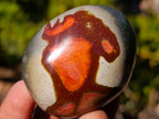 Polished Polychrome Jasper Palm Stones x 24 From NW Coast, Madagascar - Toprock Gemstones and Minerals 