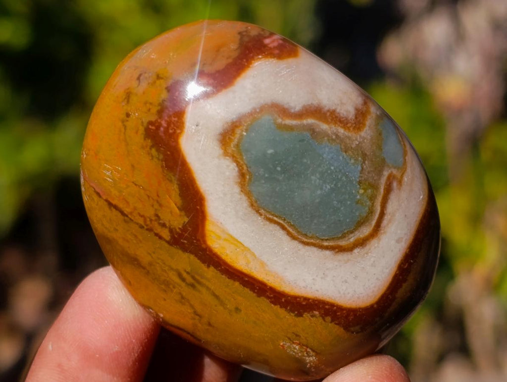 Polished Polychrome Jasper Palm Stones x 24 From NW Coast, Madagascar - Toprock Gemstones and Minerals 