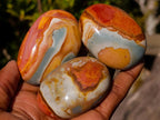 Polished Polychrome Jasper Palm Stones x 24 From NW Coast, Madagascar - Toprock Gemstones and Minerals 
